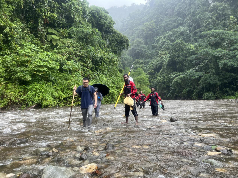 萬水千山只等閑，踐行六講勇向前 ——所羅門金嶺水電站項目勘察工作側(cè)記